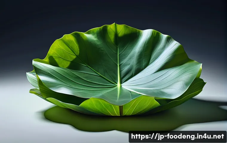 식품 공학에서의 생체모방 기술 관련 이미지 1