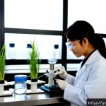 식품공학과 생명공학의 관계 - Photorealistic modern Japanese university laboratory showing the relationship between food engineeri...